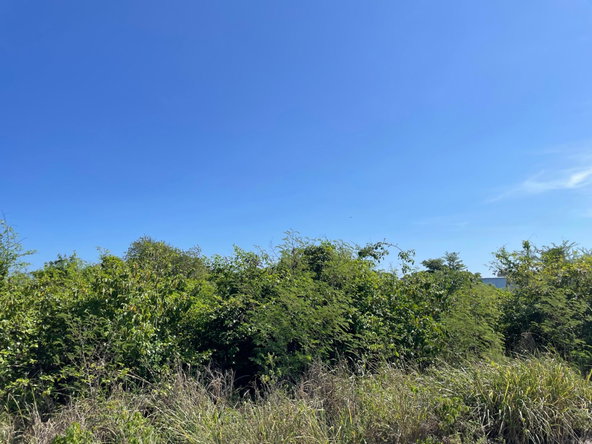 First image of 112 Flamingo Beach in Falmouth, Trelawny, Jamaica - property is For Sale
