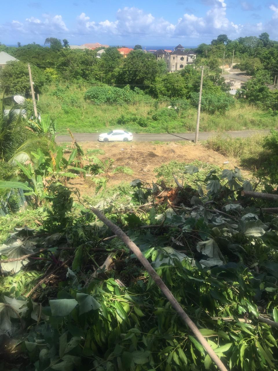 Fifth image of Forest Glades in Spring Valley, St. Mary, Jamaica - property is For Sale