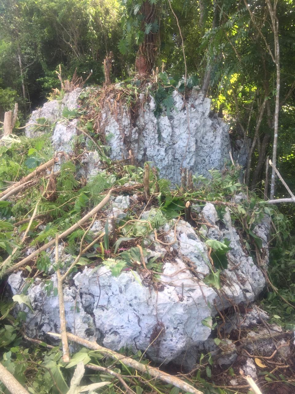 Sixth image of Forest Glades in Spring Valley, St. Mary, Jamaica - property is For Sale