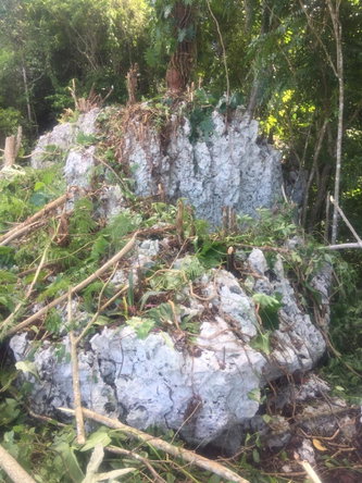 Sixth image of Forest Glades in Spring Valley, St. Mary, Jamaica - property is For Sale
