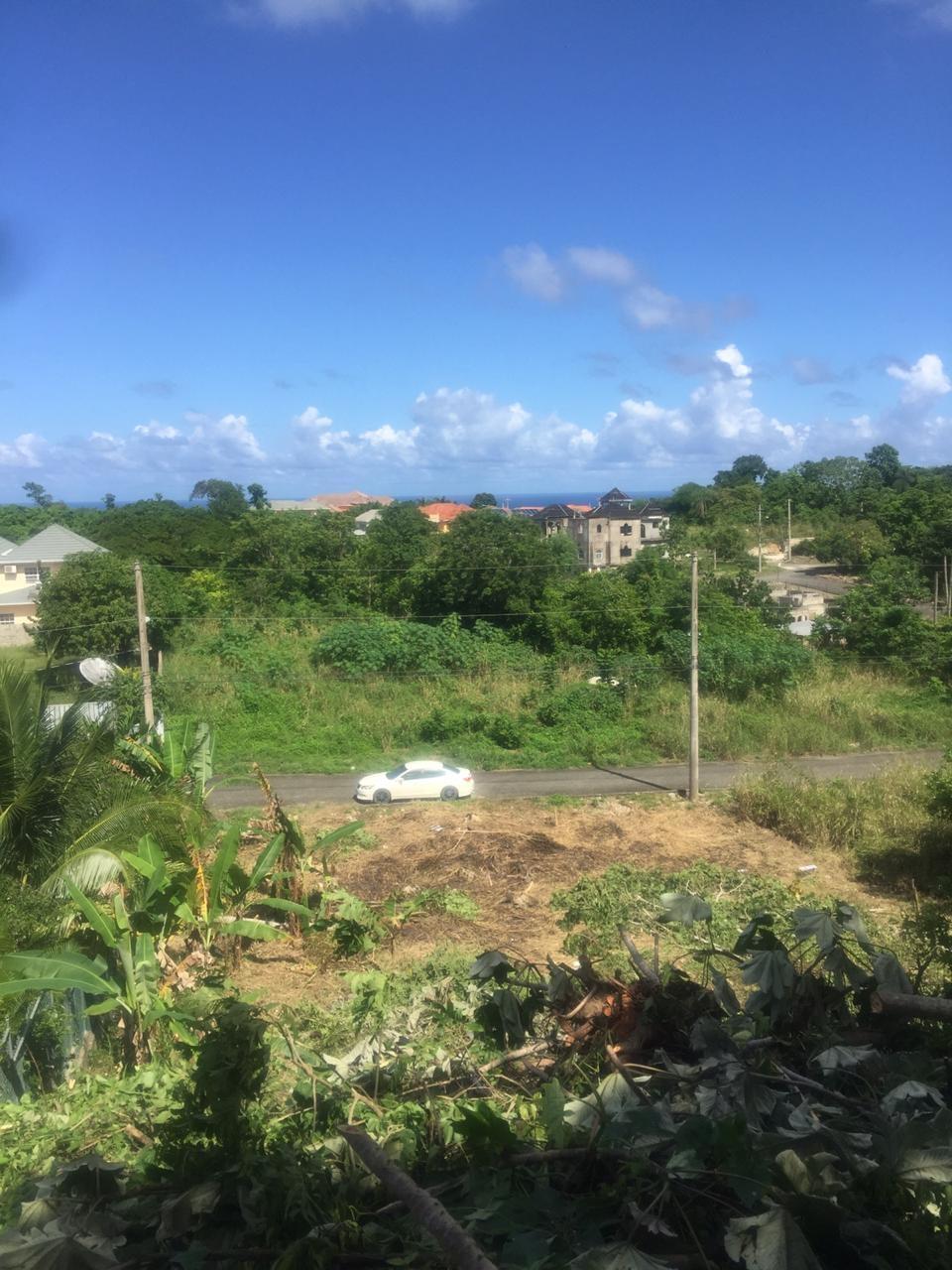 First image of Forest Glades in Spring Valley, St. Mary, Jamaica - property is For Sale