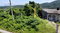 First image of 35 Frontier Estate Phase 2 in Port Maria, St. Mary, Jamaica - property is For Sale