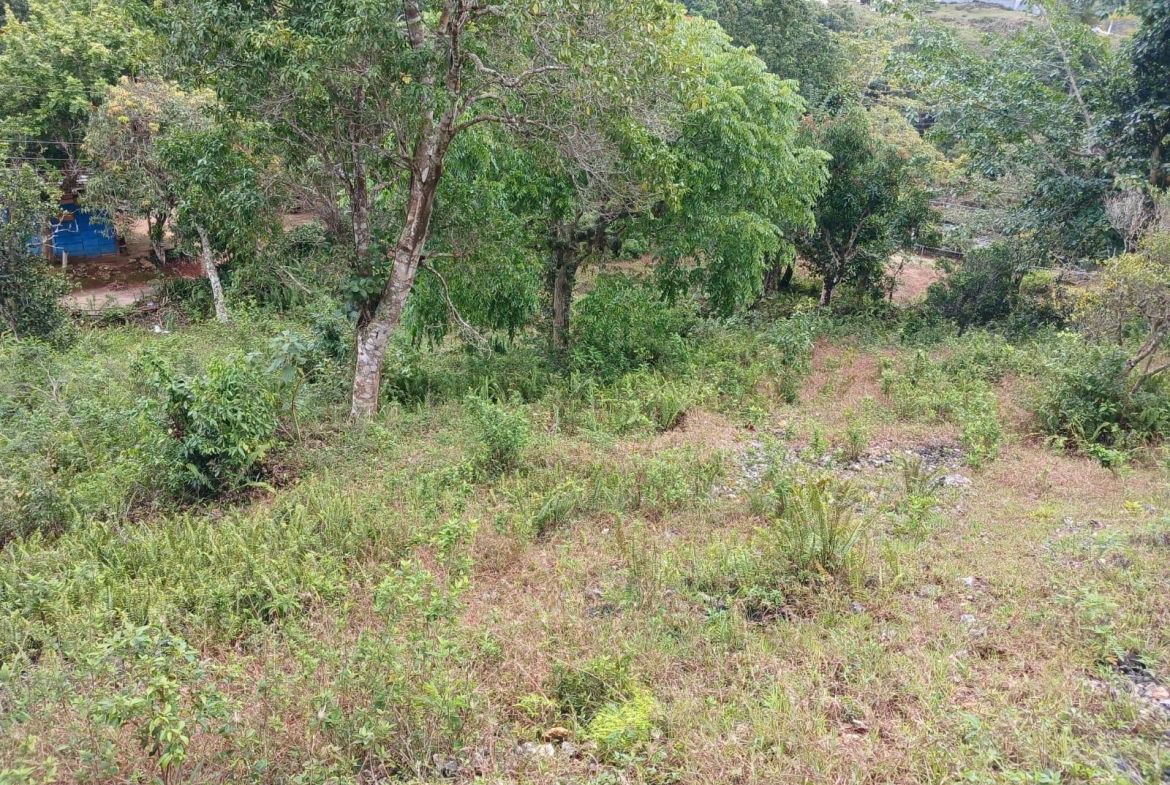 Second image of Green Hill Alexandria in Alexandria, St. Ann, Jamaica - property is For Sale