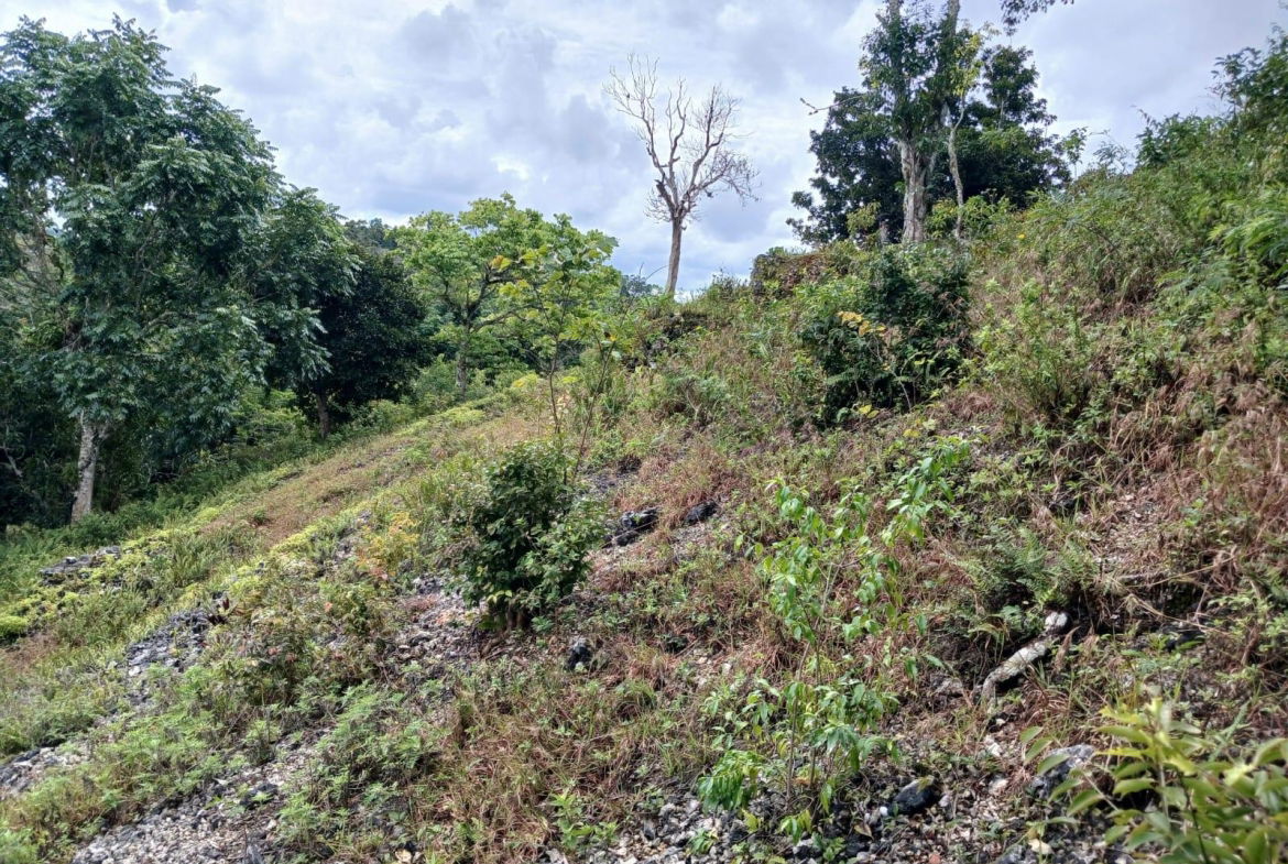 Third image of Green Hill Alexandria in Alexandria, St. Ann, Jamaica - property is For Sale
