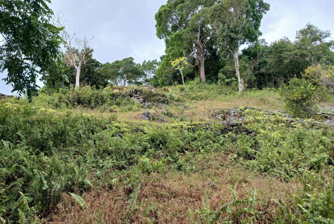 Fourth image of Green Hill Alexandria in Alexandria, St. Ann, Jamaica - property is For Sale