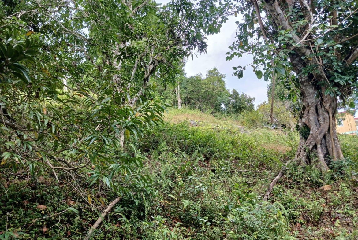 Seventh image of Green Hill Alexandria in Alexandria, St. Ann, Jamaica - property is For Sale