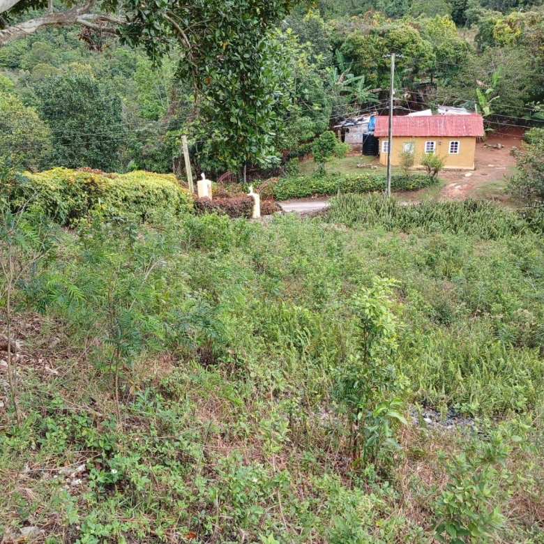 First image of Green Hill Alexandria in Alexandria, St. Ann, Jamaica - property is For Sale