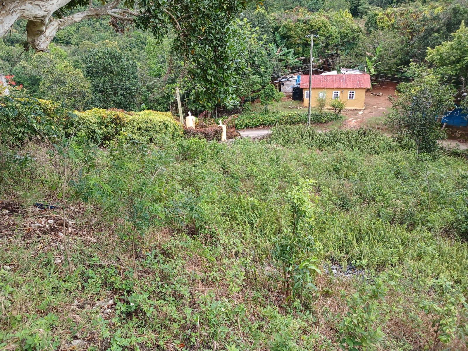 First image of Green Hill Alexandria in Alexandria, St. Ann, Jamaica - property is For Sale