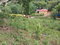 First image of Green Hill Alexandria in Alexandria, St. Ann, Jamaica - property is For Sale