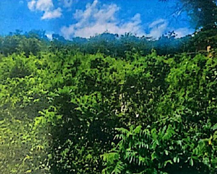 Second image of Lot 414 Brooks Heights in Montego Bay, St. James, Jamaica - property is For Sale