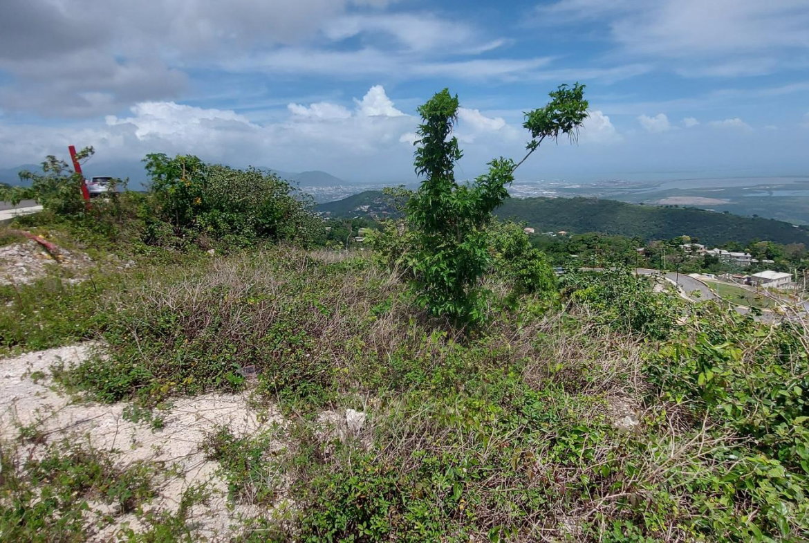 Eighth image of Heavenly Heights in Red Hills, St. Andrew, Jamaica - property is For Sale
