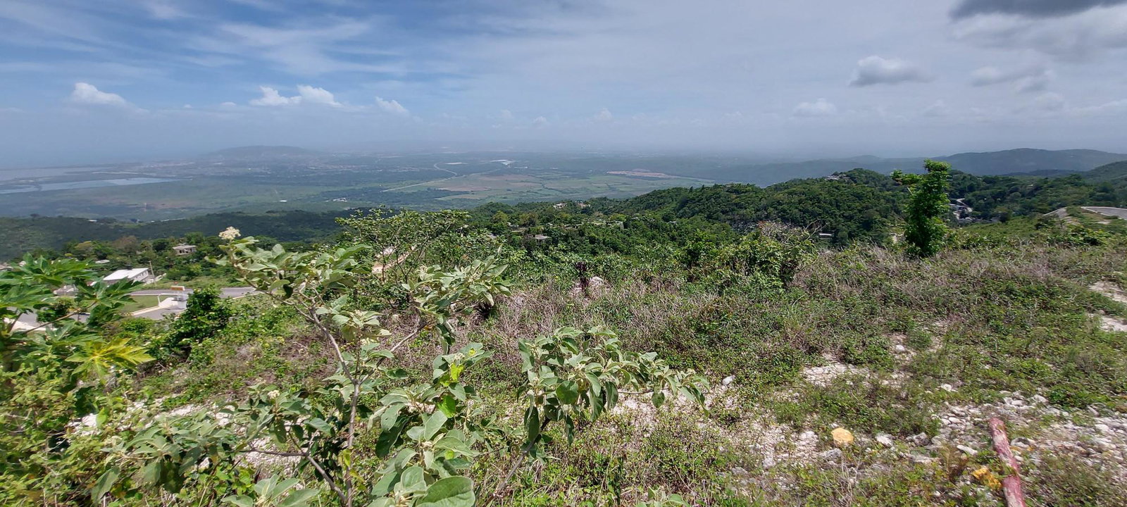 Ninth image of Heavenly Heights in Red Hills, St. Andrew, Jamaica - property is For Sale