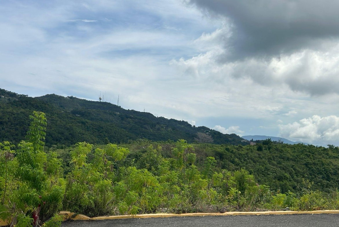Second image of Lot 29 Chanteclaire Avenue, Heav in Red Hills, St. Andrew, Jamaica - property is For Sale