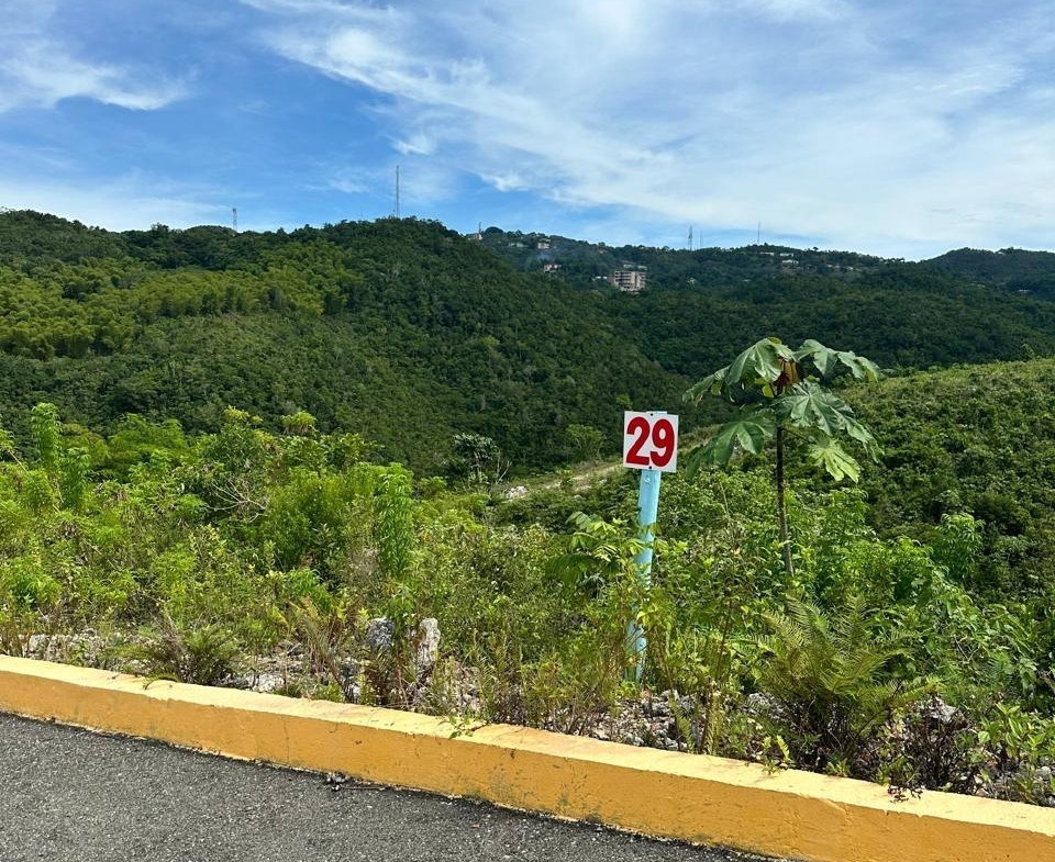 Fourth image of Lot 29 Chanteclaire Avenue, Heav in Red Hills, St. Andrew, Jamaica - property is For Sale
