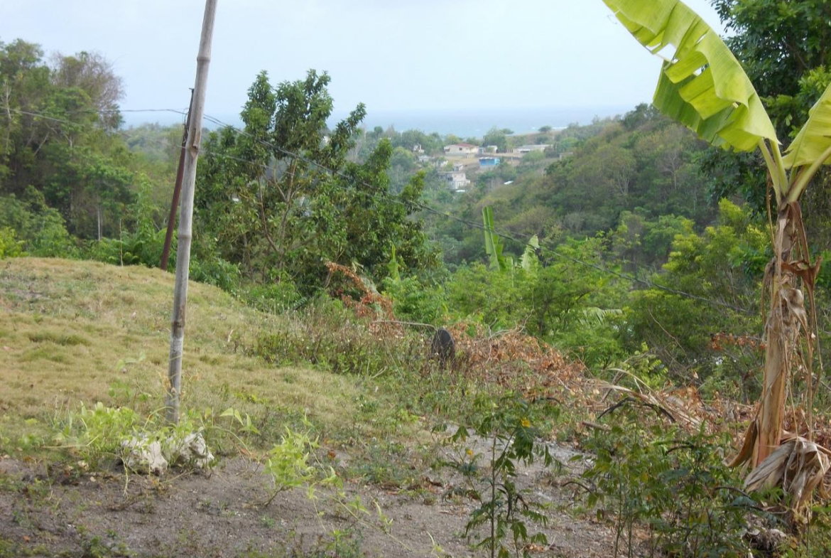 Second image of Holland Town Dalvey in Dalvey, St. Thomas, Jamaica - property is For Sale