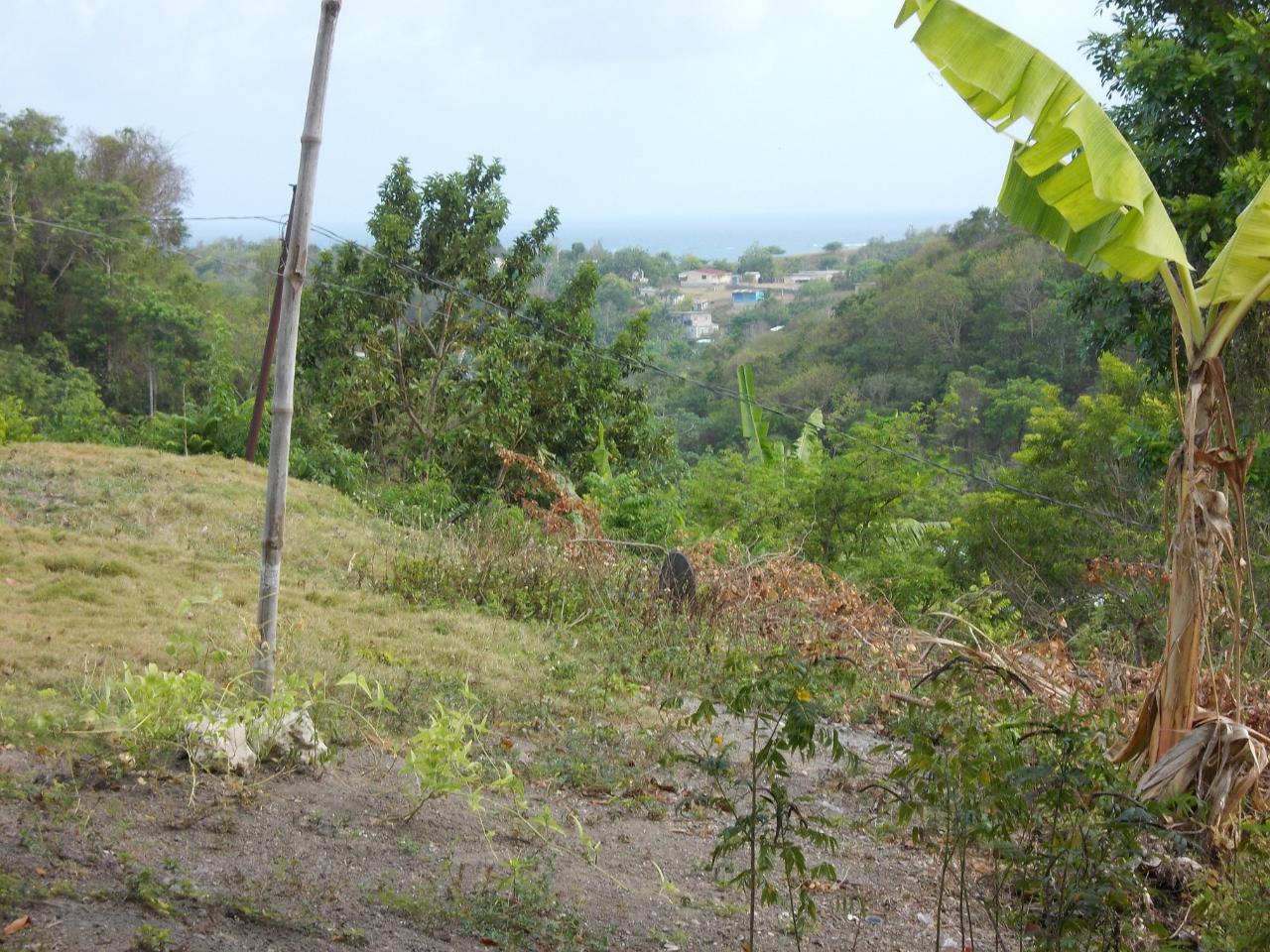 Residential-Lot-for-Sale-in-Holland-Town-Dalvey-St.-Thomas-Jamaica-–-Sea-Mountain-Views Second image of Holland Town Dalvey in Dalvey, St. Thomas, Jamaica - property is For Sale