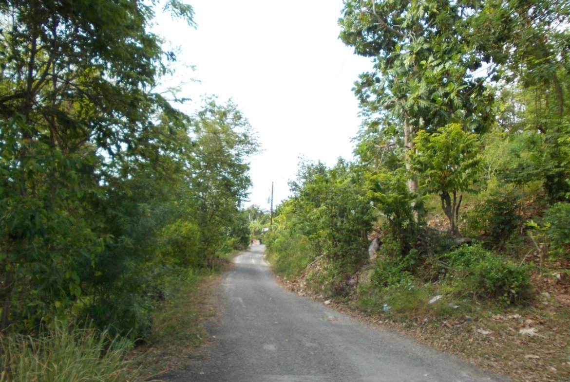 Eleventh image of Holland Town Dalvey in Dalvey, St. Thomas, Jamaica - property is For Sale