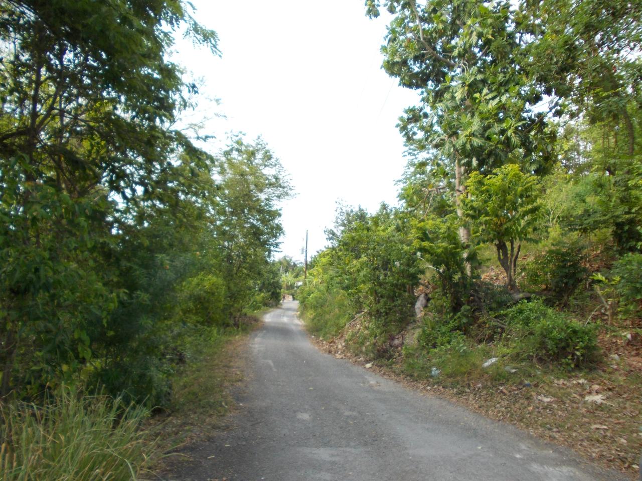Residential-Lot-for-Sale-in-Holland-Town-Dalvey-St.-Thomas-Jamaica-–-Sea-Mountain-Views Eleventh image of Holland Town Dalvey in Dalvey, St. Thomas, Jamaica - property is For Sale