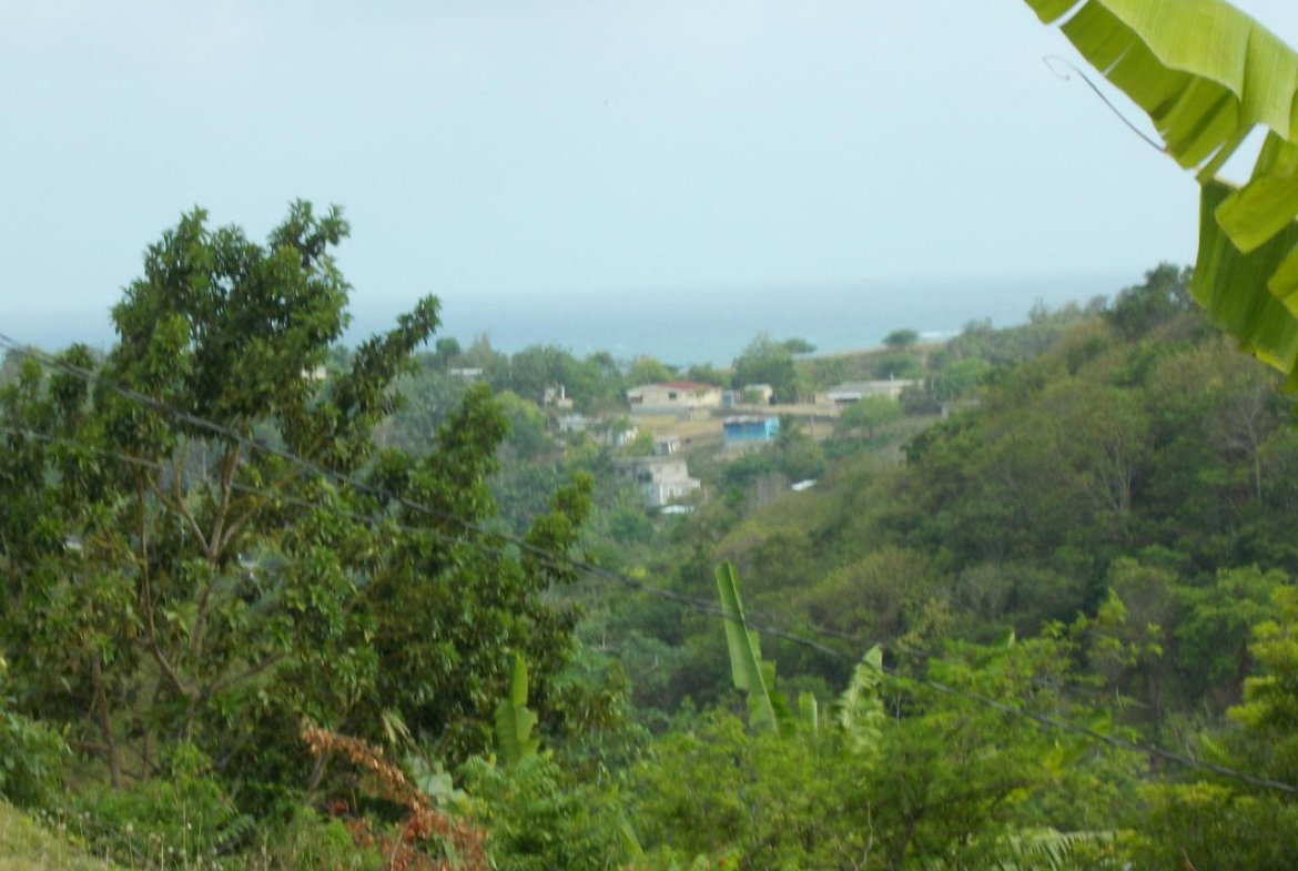 First image of Holland Town Dalvey in Dalvey, St. Thomas, Jamaica - property is For Sale