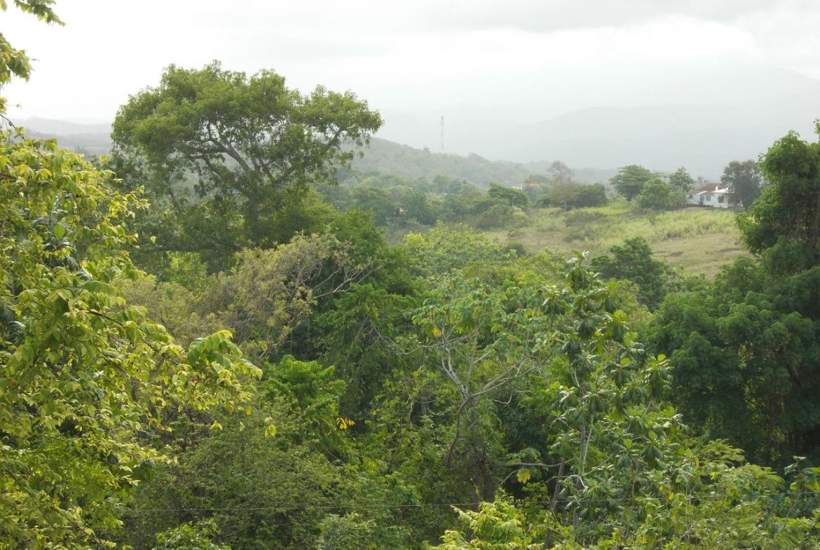 Thirteenth image of Holland Town Dalvey in Dalvey, St. Thomas, Jamaica - property is For Sale