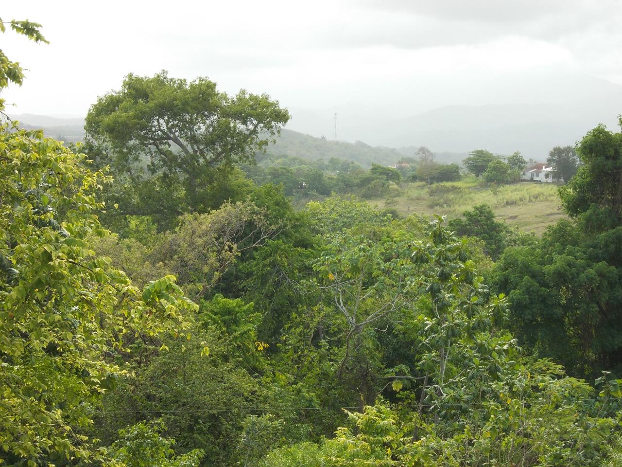 Residential-Lot-for-Sale-in-Holland-Town-Dalvey-St.-Thomas-Jamaica-–-Sea-Mountain-Views Thirteenth image of Holland Town Dalvey in Dalvey, St. Thomas, Jamaica - property is For Sale