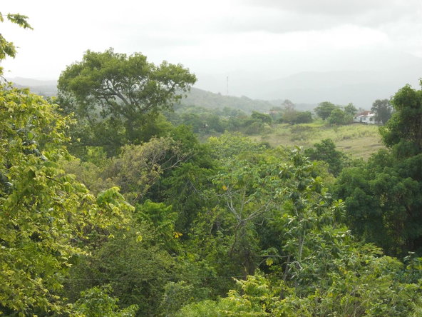 Thirteenth image of Holland Town Dalvey in Dalvey, St. Thomas, Jamaica - property is For Sale
