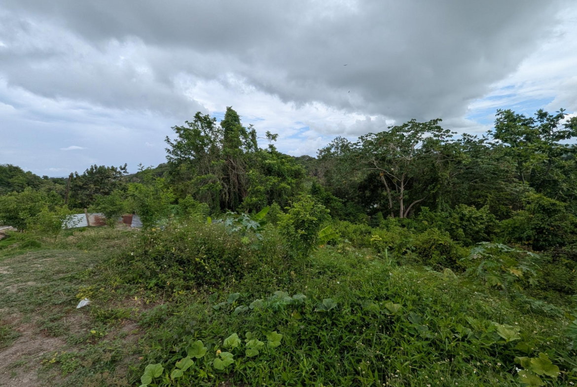 Fifteenth image of Holland Town Dalvey in Dalvey, St. Thomas, Jamaica - property is For Sale