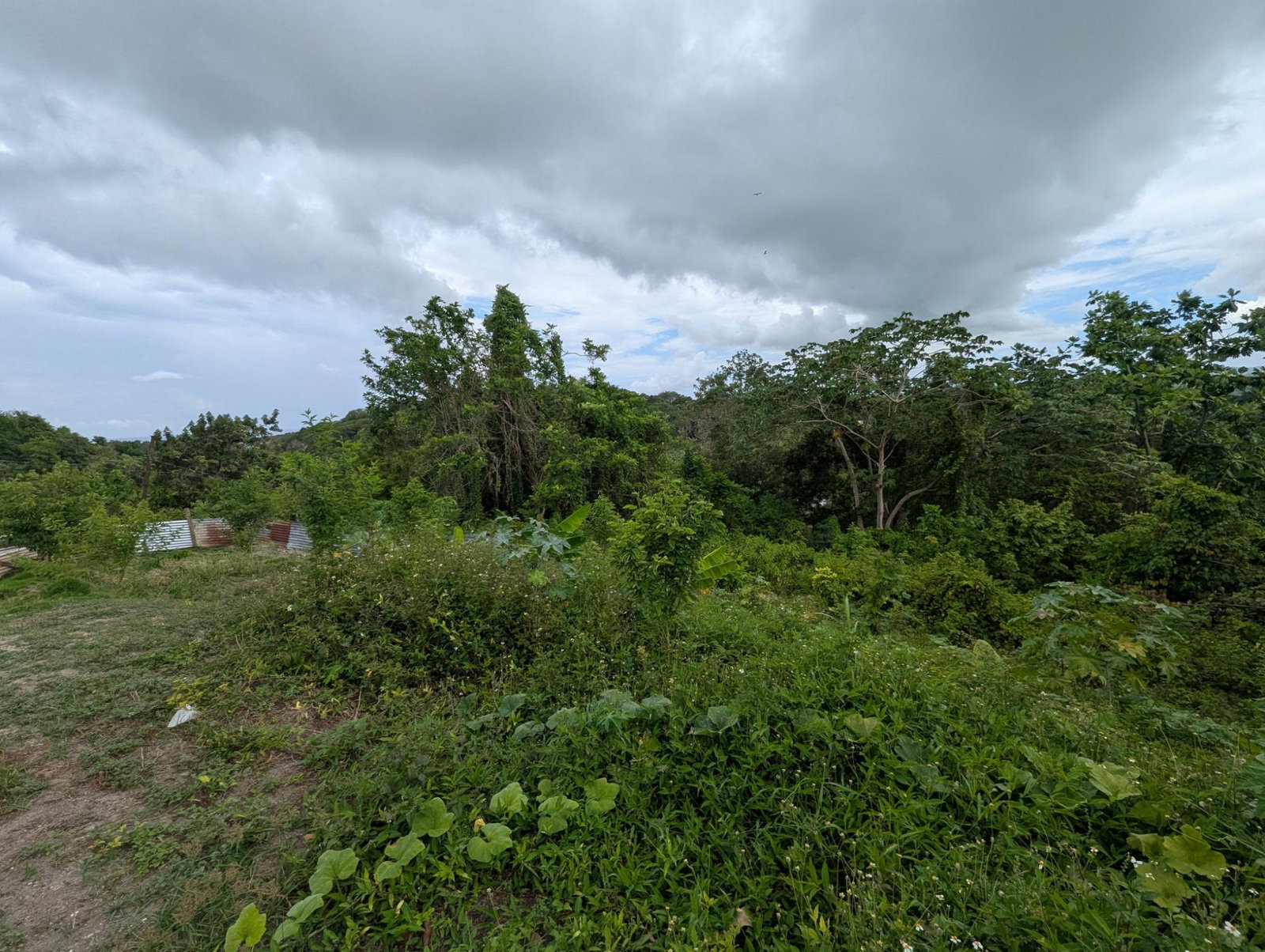 Residential-Lot-for-Sale-in-Holland-Town-Dalvey-St.-Thomas-Jamaica-–-Sea-Mountain-Views Fifteenth image of Holland Town Dalvey in Dalvey, St. Thomas, Jamaica - property is For Sale