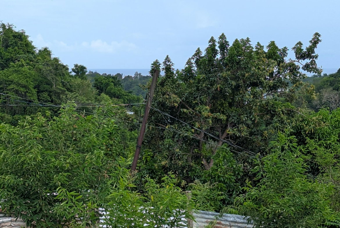 Sixteenth image of Holland Town Dalvey in Dalvey, St. Thomas, Jamaica - property is For Sale