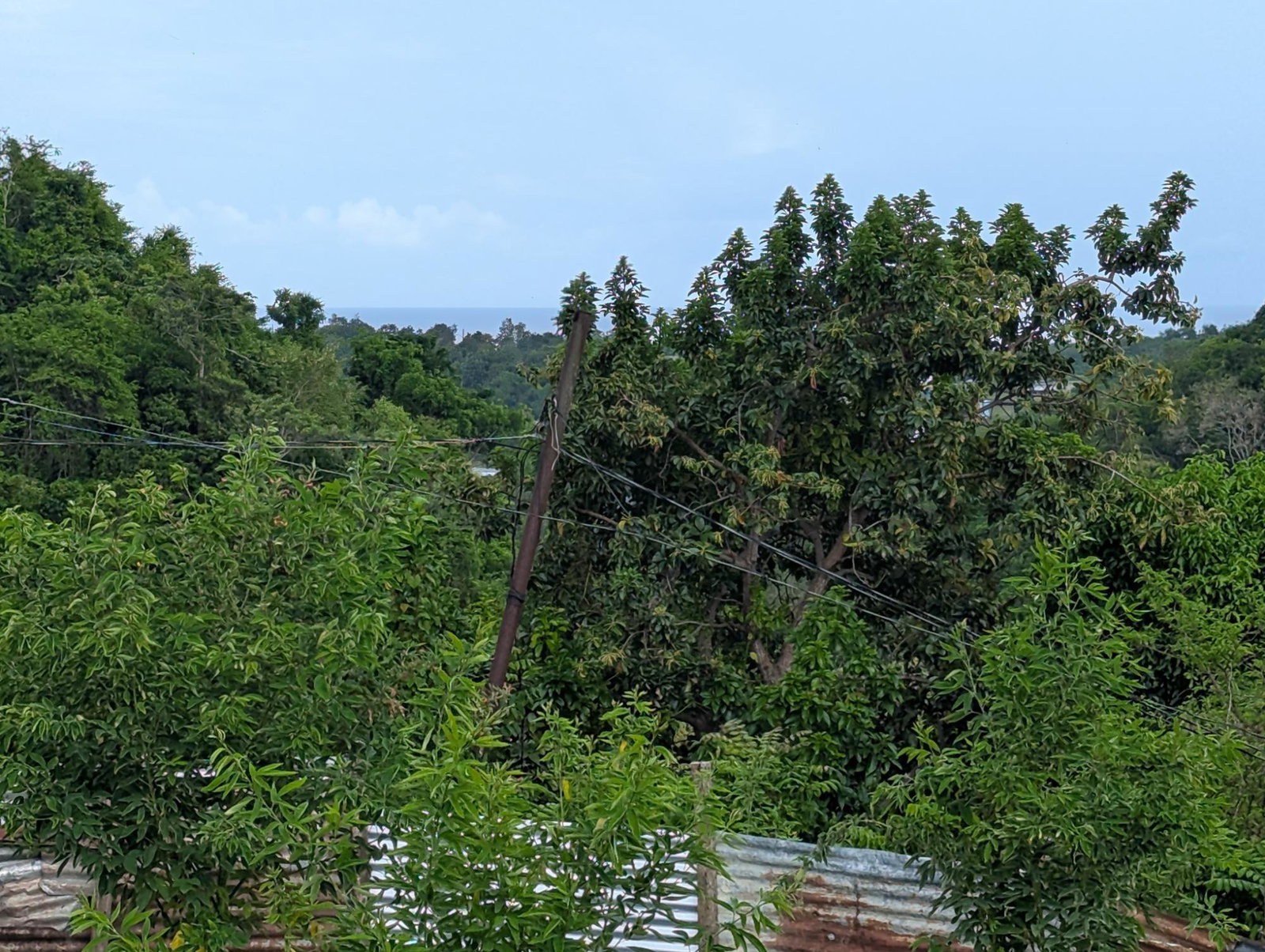 Residential-Lot-for-Sale-in-Holland-Town-Dalvey-St.-Thomas-Jamaica-–-Sea-Mountain-Views Sixteenth image of Holland Town Dalvey in Dalvey, St. Thomas, Jamaica - property is For Sale