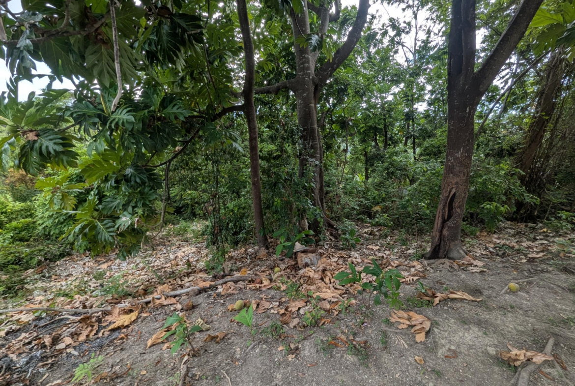 Seventeenth image of Holland Town Dalvey in Dalvey, St. Thomas, Jamaica - property is For Sale