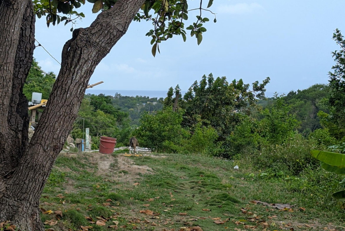 Nineteenth image of Holland Town Dalvey in Dalvey, St. Thomas, Jamaica - property is For Sale