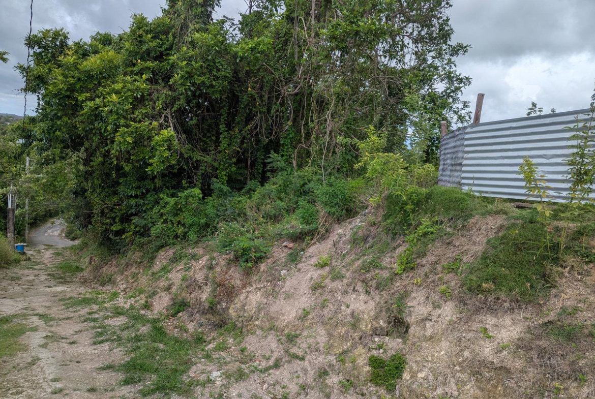 Twentieth image of Holland Town Dalvey in Dalvey, St. Thomas, Jamaica - property is For Sale