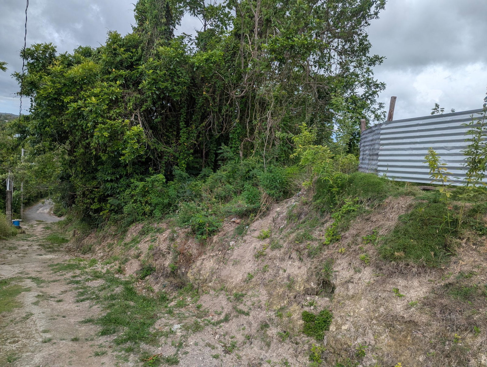 Residential-Lot-for-Sale-in-Holland-Town-Dalvey-St.-Thomas-Jamaica-–-Sea-Mountain-Views Twentieth image of Holland Town Dalvey in Dalvey, St. Thomas, Jamaica - property is For Sale