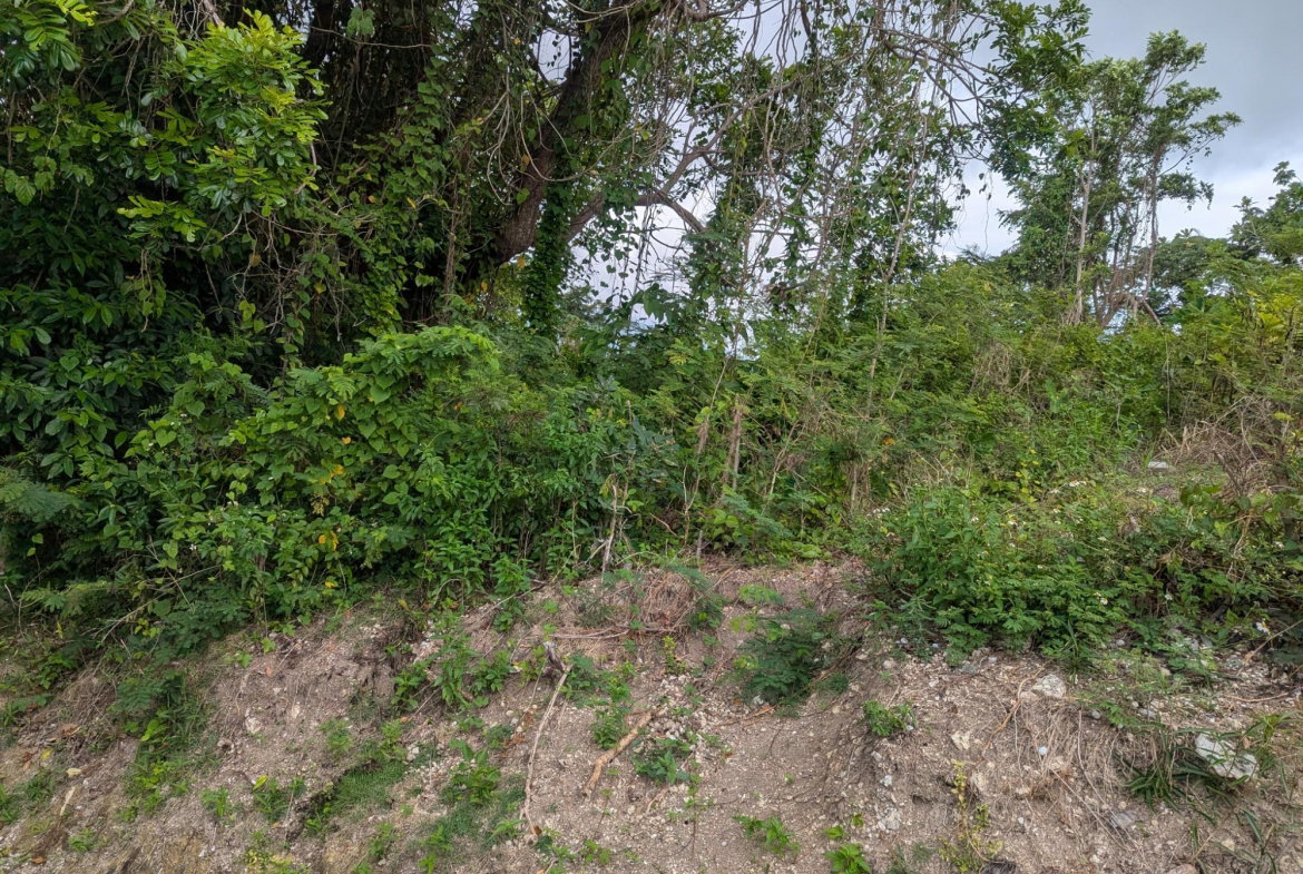 Twenty-First image of Holland Town Dalvey in Dalvey, St. Thomas, Jamaica - property is For Sale