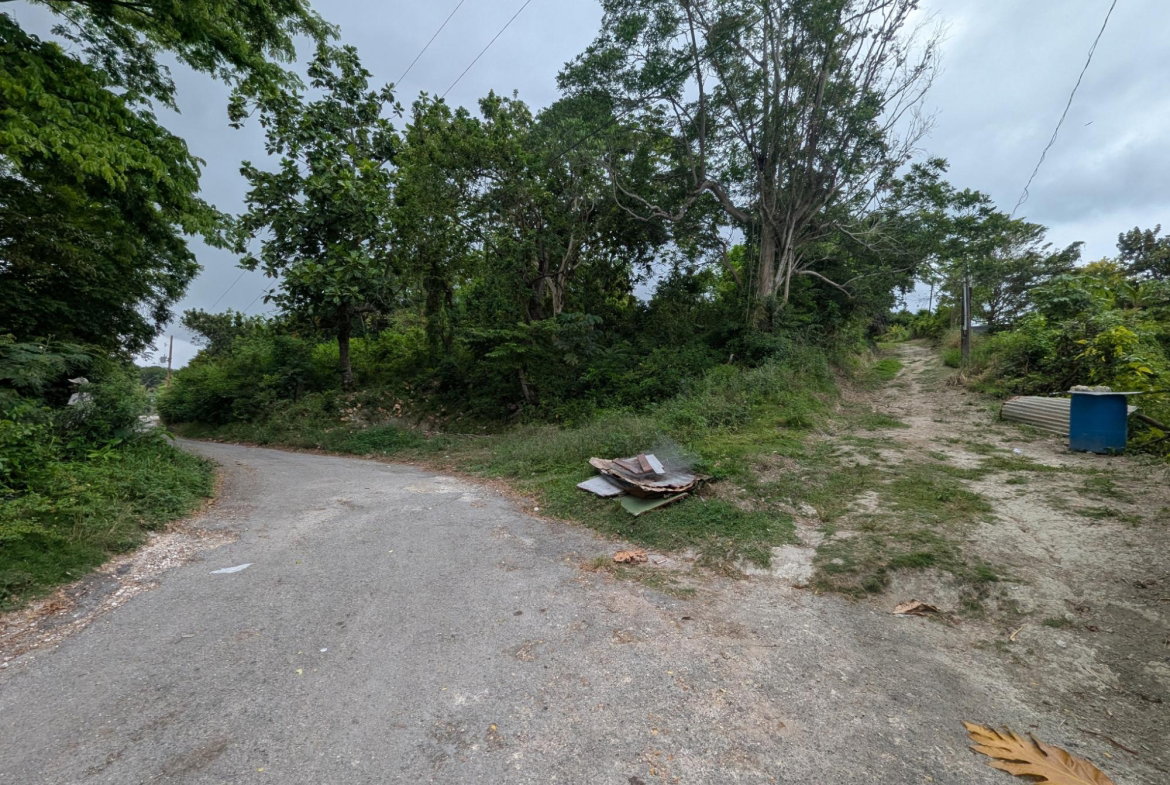 Twenty-Second image of Holland Town Dalvey in Dalvey, St. Thomas, Jamaica - property is For Sale