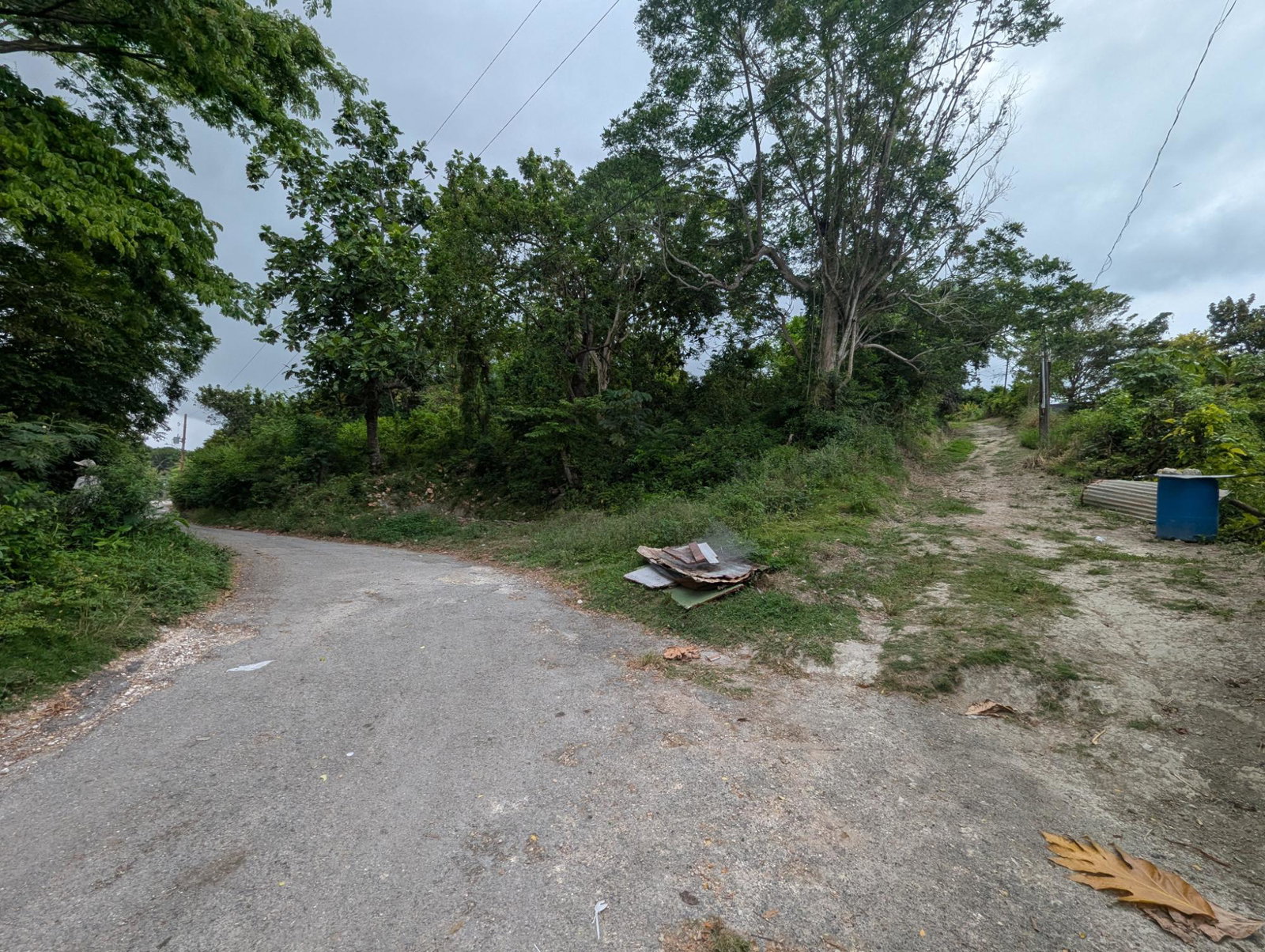 Residential-Lot-for-Sale-in-Holland-Town-Dalvey-St.-Thomas-Jamaica-–-Sea-Mountain-Views Twenty-Second image of Holland Town Dalvey in Dalvey, St. Thomas, Jamaica - property is For Sale