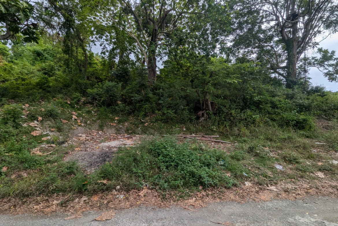 Twenty-Third image of Holland Town Dalvey in Dalvey, St. Thomas, Jamaica - property is For Sale