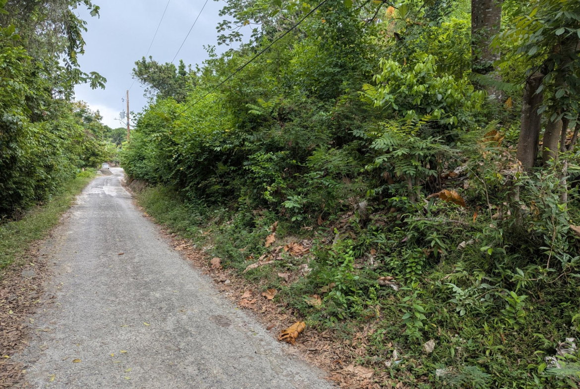 Twenty-Fourth image of Holland Town Dalvey in Dalvey, St. Thomas, Jamaica - property is For Sale