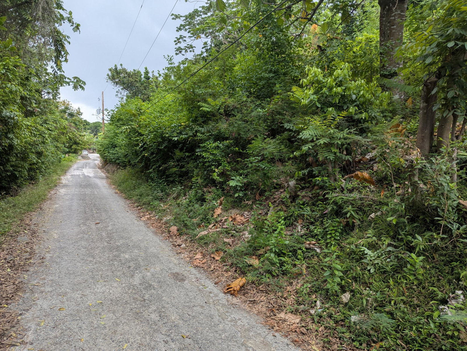 Residential-Lot-for-Sale-in-Holland-Town-Dalvey-St.-Thomas-Jamaica-–-Sea-Mountain-Views Twenty-Fourth image of Holland Town Dalvey in Dalvey, St. Thomas, Jamaica - property is For Sale