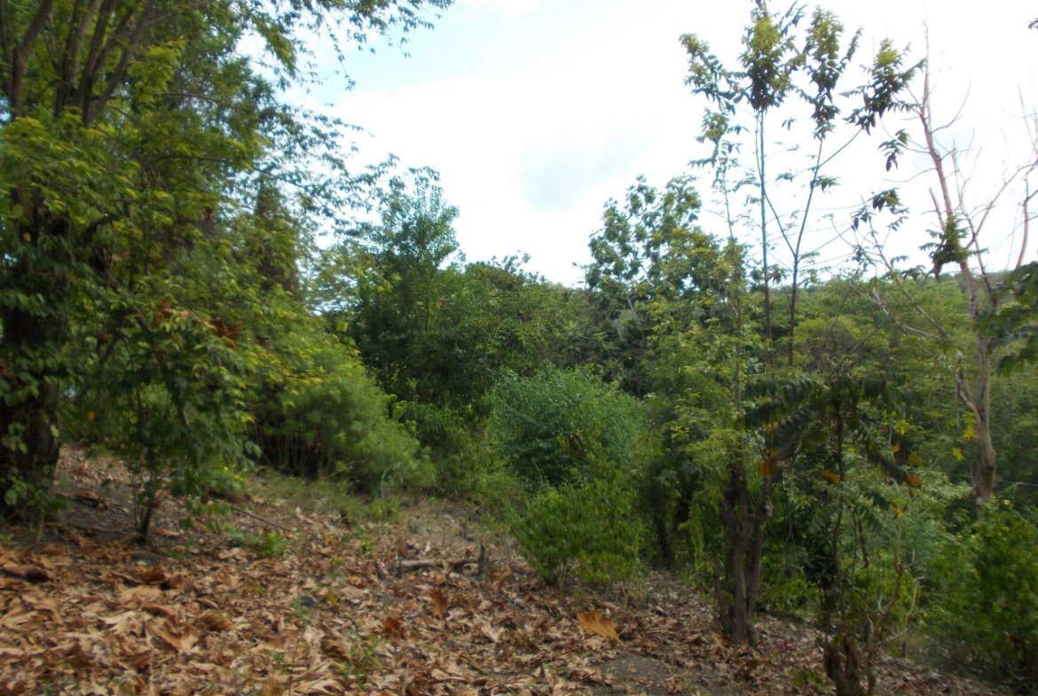 Sixth image of Holland Town Dalvey in Dalvey, St. Thomas, Jamaica - property is For Sale