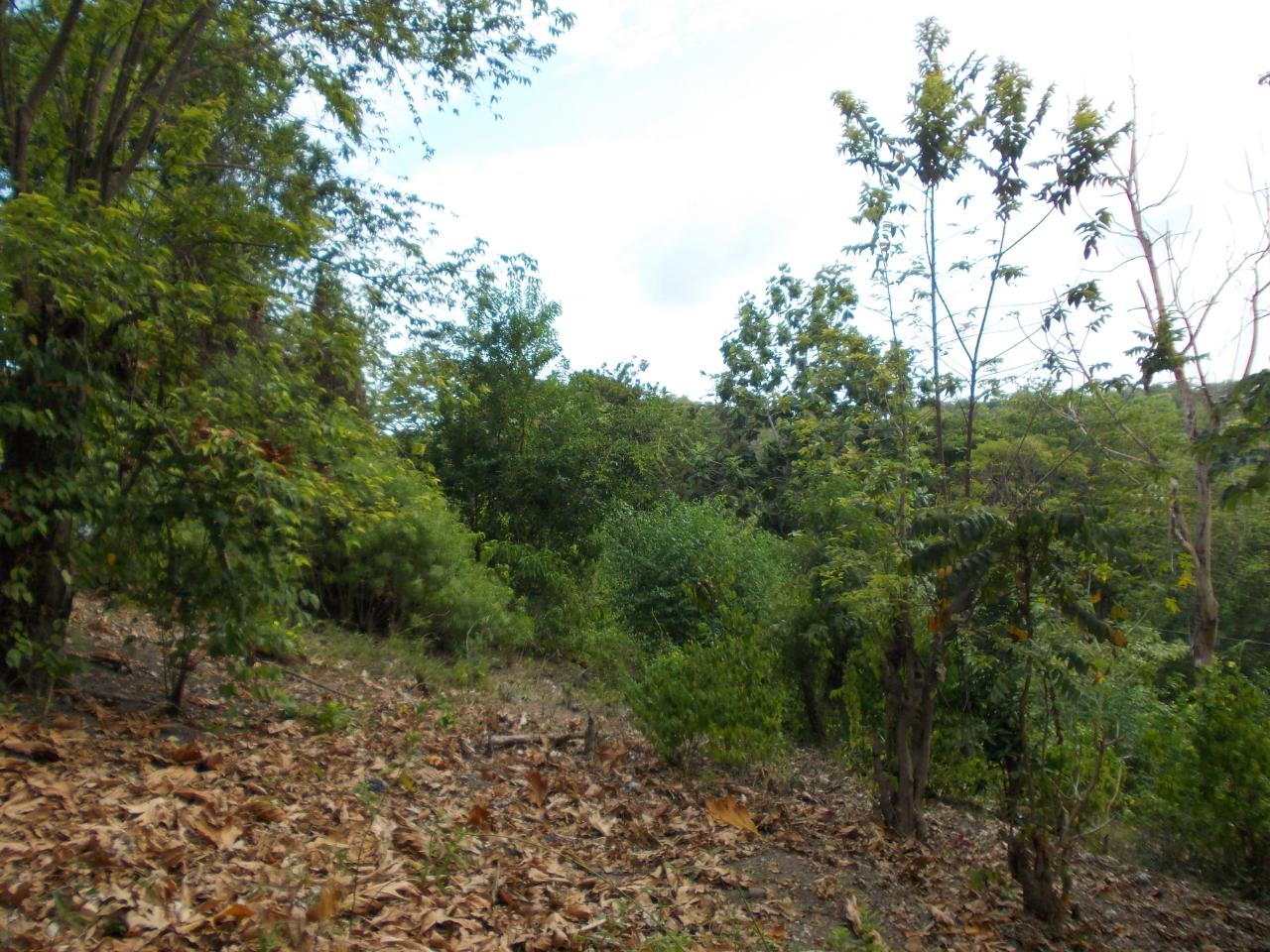 Residential-Lot-for-Sale-in-Holland-Town-Dalvey-St.-Thomas-Jamaica-–-Sea-Mountain-Views Sixth image of Holland Town Dalvey in Dalvey, St. Thomas, Jamaica - property is For Sale
