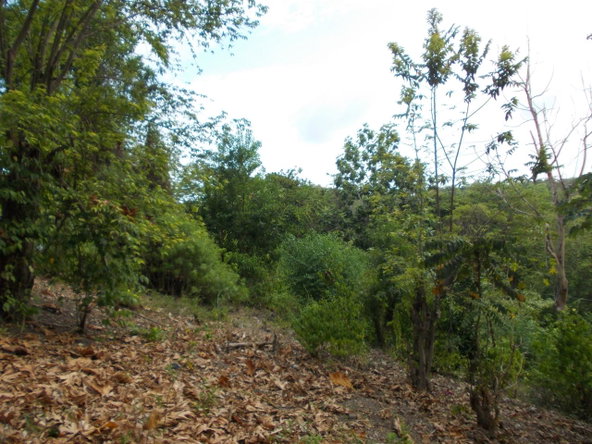 Sixth image of Holland Town Dalvey in Dalvey, St. Thomas, Jamaica - property is For Sale