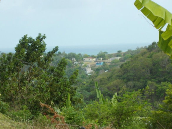 First image of Holland Town Dalvey in Dalvey, St. Thomas, Jamaica - property is For Sale