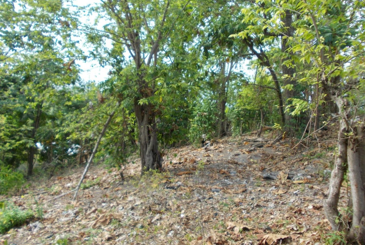 Seventh image of Holland Town Dalvey in Dalvey, St. Thomas, Jamaica - property is For Sale