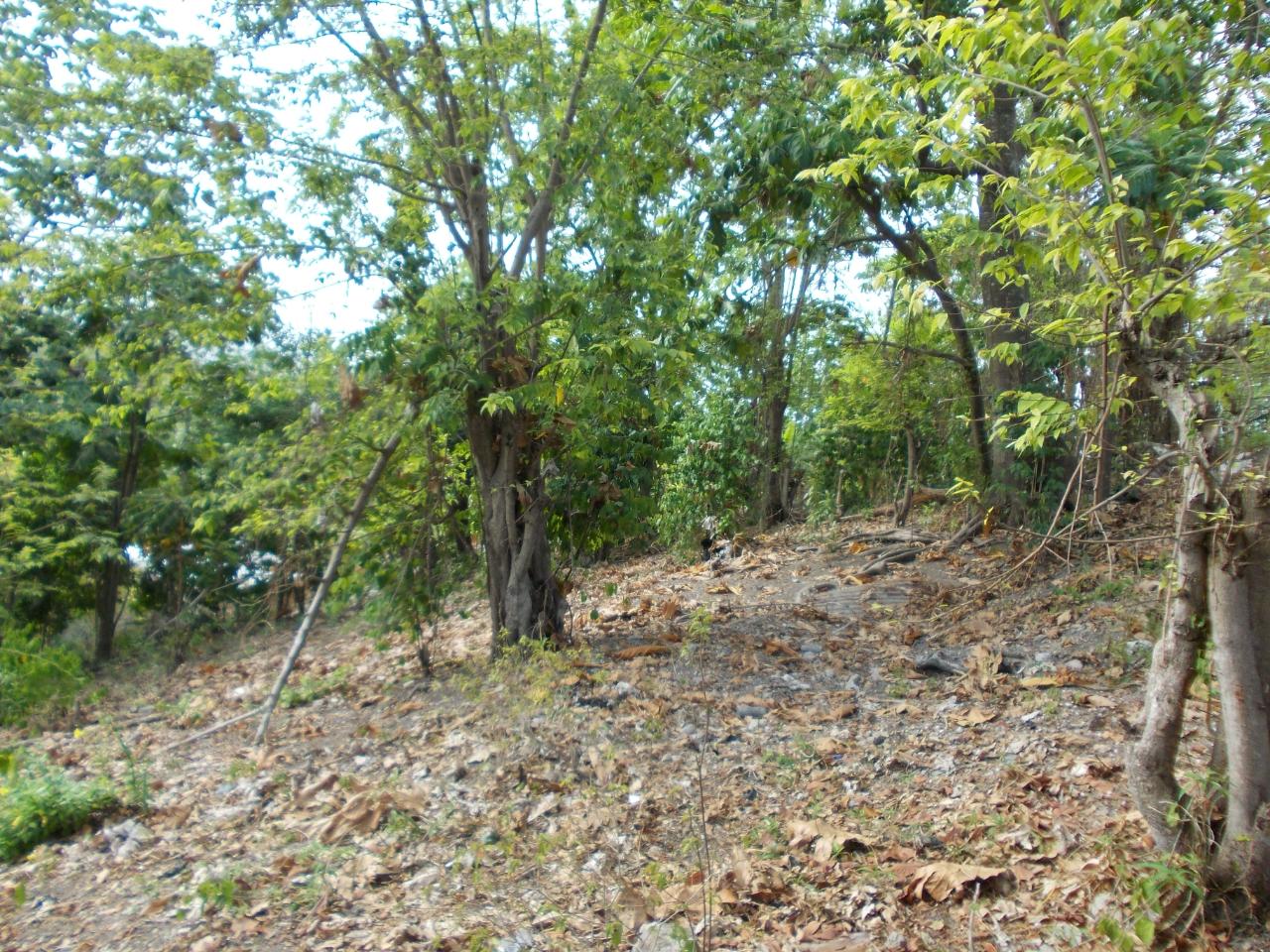 Residential-Lot-for-Sale-in-Holland-Town-Dalvey-St.-Thomas-Jamaica-–-Sea-Mountain-Views Seventh image of Holland Town Dalvey in Dalvey, St. Thomas, Jamaica - property is For Sale