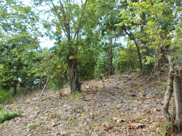Seventh image of Holland Town Dalvey in Dalvey, St. Thomas, Jamaica - property is For Sale