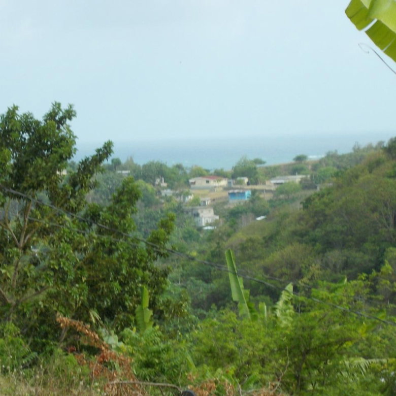 First image of Holland Town Dalvey in Dalvey, St. Thomas, Jamaica - property is For Sale