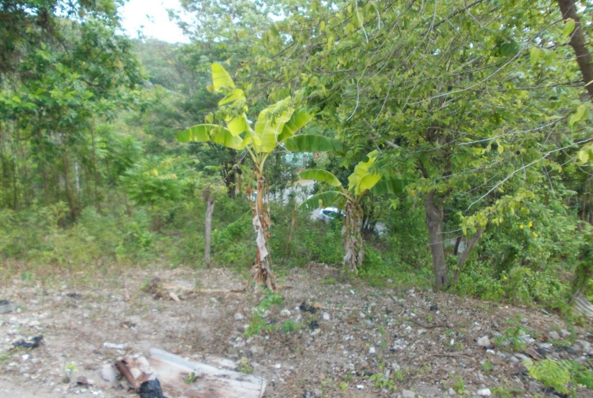 Ninth image of Holland Town Dalvey in Dalvey, St. Thomas, Jamaica - property is For Sale