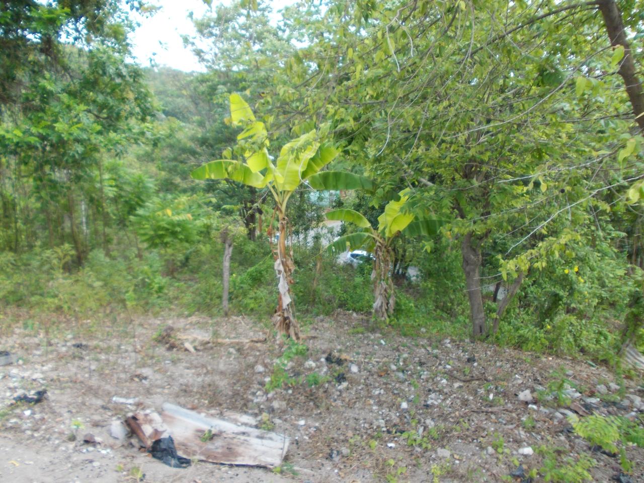 Residential-Lot-for-Sale-in-Holland-Town-Dalvey-St.-Thomas-Jamaica-–-Sea-Mountain-Views Ninth image of Holland Town Dalvey in Dalvey, St. Thomas, Jamaica - property is For Sale